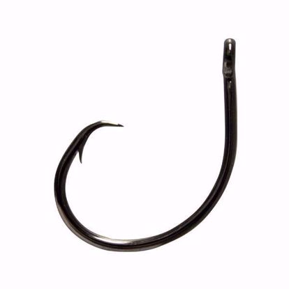 Demon Circle 1X Wide Gap Hook Mustad Circle Hook Jeco's Marine Port O'Connor, Texas