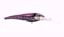 Nomad Designs DTX Minnow 165MM Black Pink Mackerel Jeco's Marine Port O'Connor, Texas