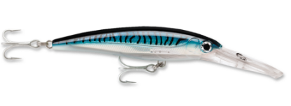 Rapala Saltwater X-Rap Magnum Dive Bait Silver Blue Mackerel Jeco's Marine Port O'Connor, Texas