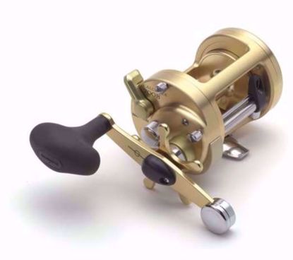 Calcutta 700B Shimano Baitcast/Trolling Reel Jeco's Marine Port O'Connor, Texas