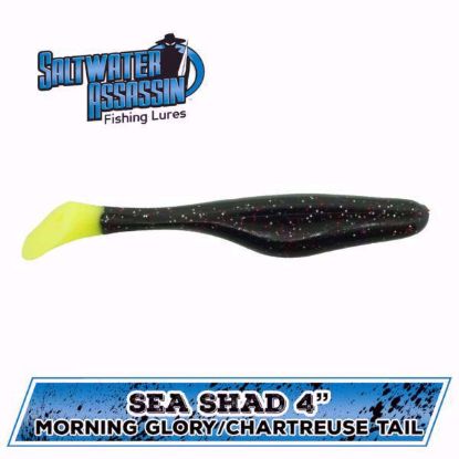 Sea Shad 4" Soft Plastics Inshore Lures Jeco's Marine Port O'Connor, Texas