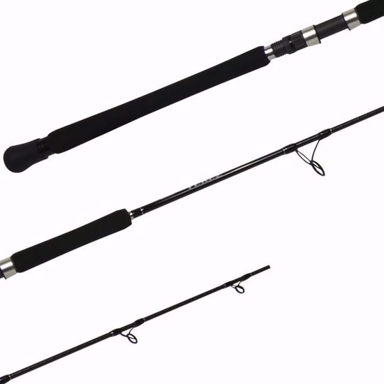 Terez Spinning Rods 