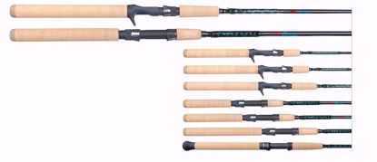  Falcon - Coastal XG Casting Rod 7'6"M