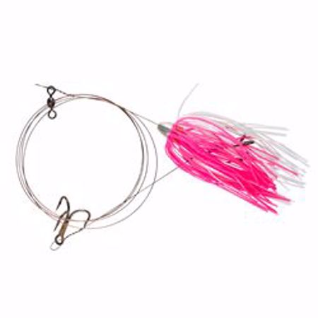 Picture for category King Fish