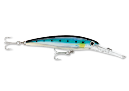 Rapala Saltwater X-Rap Magnum Dive Bait  Jeco's Marine Port O'Connor, Texas