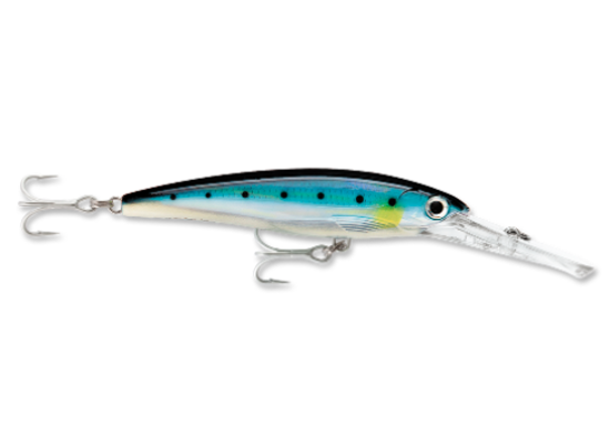 Rapala Saltwater X-Rap Magnum Dive Bait  Jeco's Marine Port O'Connor, Texas