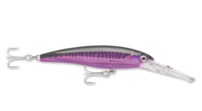 Rapala Saltwater X-Rap Magnum Dive Bait  Jeco's Marine Port O'Connor, Texas