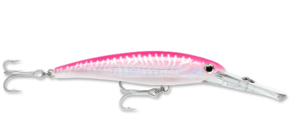 Rapala Saltwater X-Rap Magnum Dive Bait  Jeco's Marine Port O'Connor, Texas