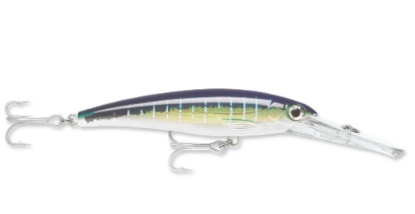Rapala Saltwater X-Rap Magnum Dive Bait  Jeco's Marine Port O'Connor, Texas