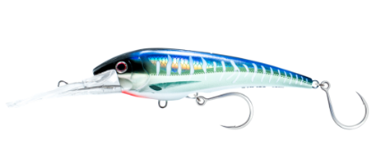 Spanish Mackerel Nomad Designs DTX Minnow 165MM Spanish Mackerel Jeco's Marine Port O'Connor, Texas