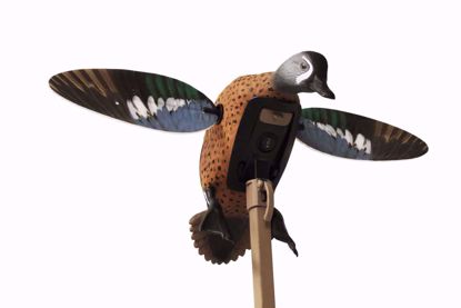 Mojo Outdoors - Elite Series Blue Wing Teal