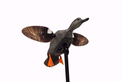 Mojo Outdoors - Elite Series Gadwall 