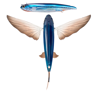 Nomad Designs - SlipStream Flying Fish 140 
