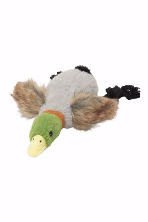 Picture for category Dog Toys