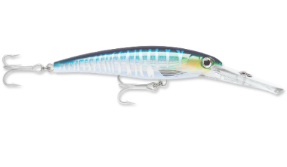 Rapala Saltwater X-Rap Magnum Dive Bait Jeco's Marine Port O'Connor, Texas