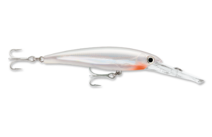 Rapala Saltwater X-Rap Magnum Dive Bait Jeco's Marine Port O'Connor, Texas