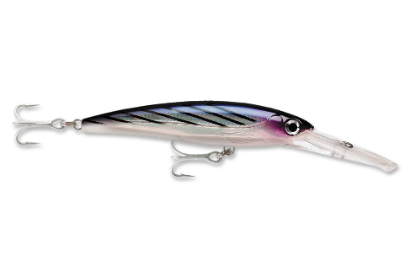 Rapala Saltwater X-Rap Magnum Dive Bait Jeco's Marine Port O'Connor, Texas