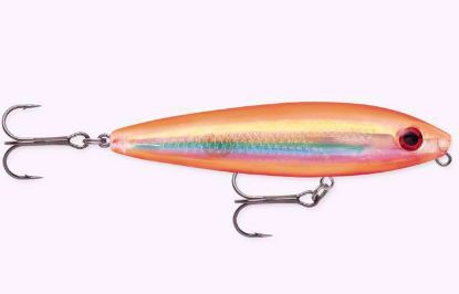 Skitter Walk Jeco's Marine Port O'Connor, Texas