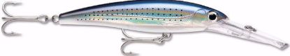 Rapala Saltwater X-Rap Magnum Dive Bait Jeco's Marine Port O'Connor, Texas