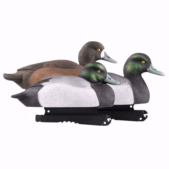 GHG - Hunter Series Life-Size Blue Bill Decoys