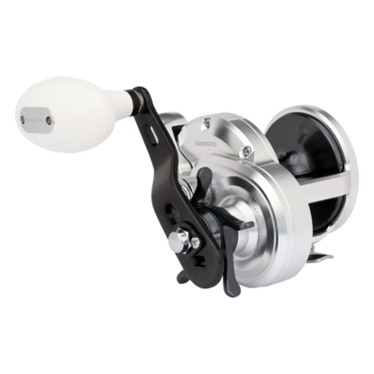 Shimano - Trinidad 20A Conventional Reel