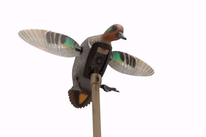 Mojo Outdoors - Elite Series Green Wing Teal 