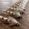 Sight Cast - Skinny Cracklin