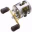 Shimano - Cardiff 300A Conventional Reel