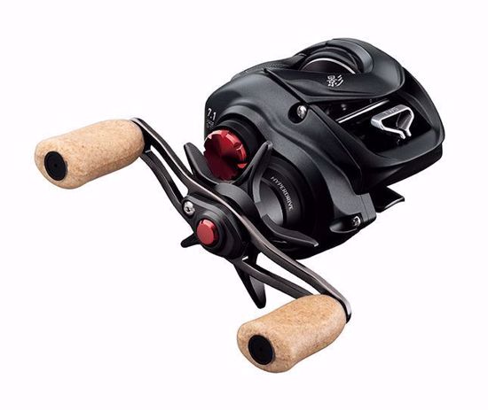 Daiwa - kage SV TW 150h Casting Reel