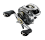 Daiwa - Aird 80H Casting Reel