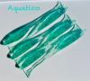 Kingdom Baits - El Camaron 5.5" Lure